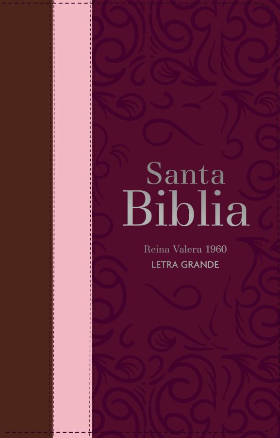 Biblia RVR 1960 - Letra Grande - Tamaño manual - guinda/rosa/marrón 