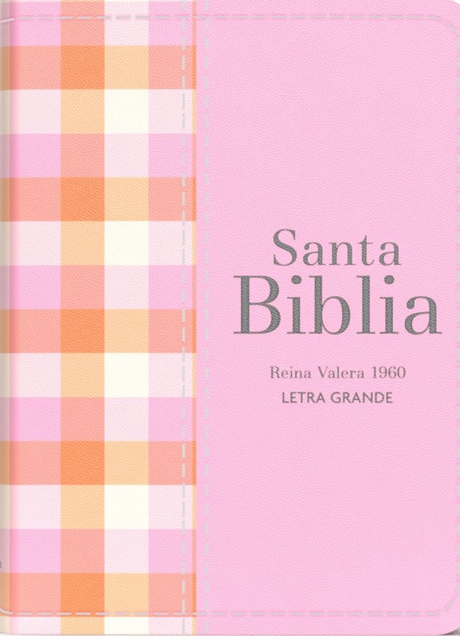 Biblia RVR 1960 - Tamaño Compacta - Rosa claro